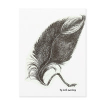 Eagle feather post card