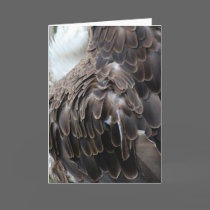 "Eagle Feathers" Greeting Card cards