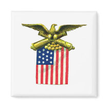 Eagle Flag and Cannons magnets