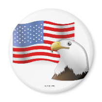 Eagle Flag magnets