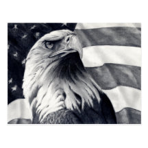 Eagle & Flag Postcard