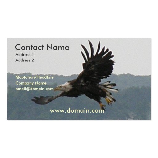 Eagle Flight Business Card (front side)