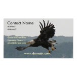 Eagle Flight Business Card