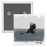 Eagle Flight Button