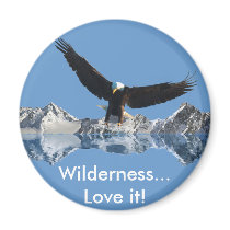 EAGLE FLIGHT Collection magnets