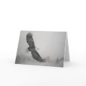 Eagle flying Card by kmullarney Eagle flying Card