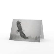 Eagle flying Card by kmullarney Eagle flying Card