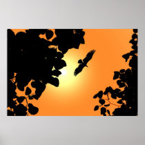 Eagle Flyingin the sunset  Print posters