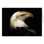 Eagle Greeting Card