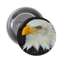 Eagle Head Button