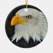 Eagle Head Ornament