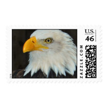 Eagle Head Postage Stamp