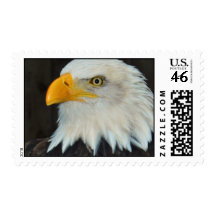 Eagle Head Postage Stamp