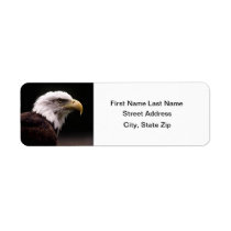 Eagle Head Study Custom Return Address Labels