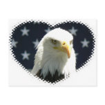 Eagle & Heart Postcard