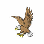 Eagle In Flight Hoodie