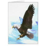 Eagle in Flight Greeting Cards