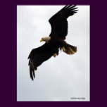 "Eagle In Flight" Poster