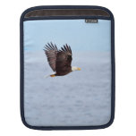 Eagle in Flight Sleeve For iPads