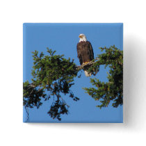 Eagle In Tree Pin