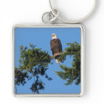 Eagle In Tree Key Chain