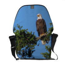 Eagle In Tree Messenger Bag