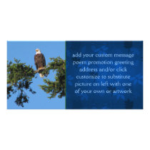 Eagle In Tree Custom Photo Card