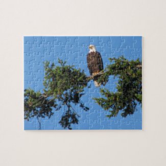 Eagle In Tree puzzle