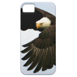 Eagle iPhone Case iPhone 5 Covers