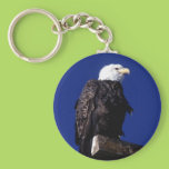 Eagle Keychains