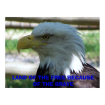 Eagle, LAND OF THE FREE BECAUSE OF THE BRAVE posters