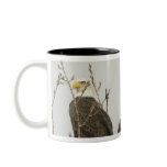 Eagle  Land of  the free Coffee Mugs