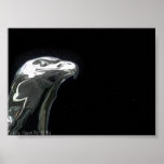 eagle linden poster