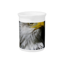 eagle looking up-3.jpg pitchers