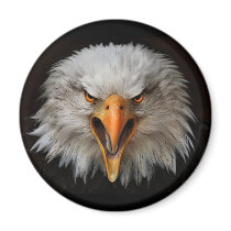eagle magnets