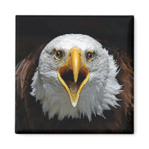 EAGLE magnets