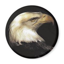 eagle magnets