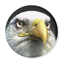 EAGLE magnets