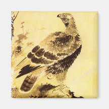 Eagle Magnets
