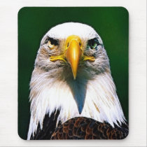 eagle mousepads