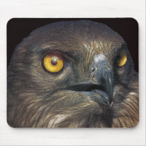 eagle mousepads