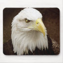 Eagle mousepads by psm108 Eagle mousepads