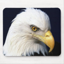 eagle mousepads