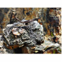 Eagle Nest photo sculptures by lifesphere Eagle Nest photo sculptures