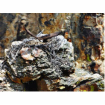 Eagle Nest photo sculptures