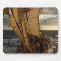 Eagle of the Sea mousepads