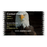 Eagle on a Business Card