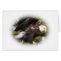 Eagle One Greeting Cards