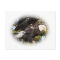 Eagle One Postcard