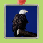 Eagle Christmas Tree Ornaments